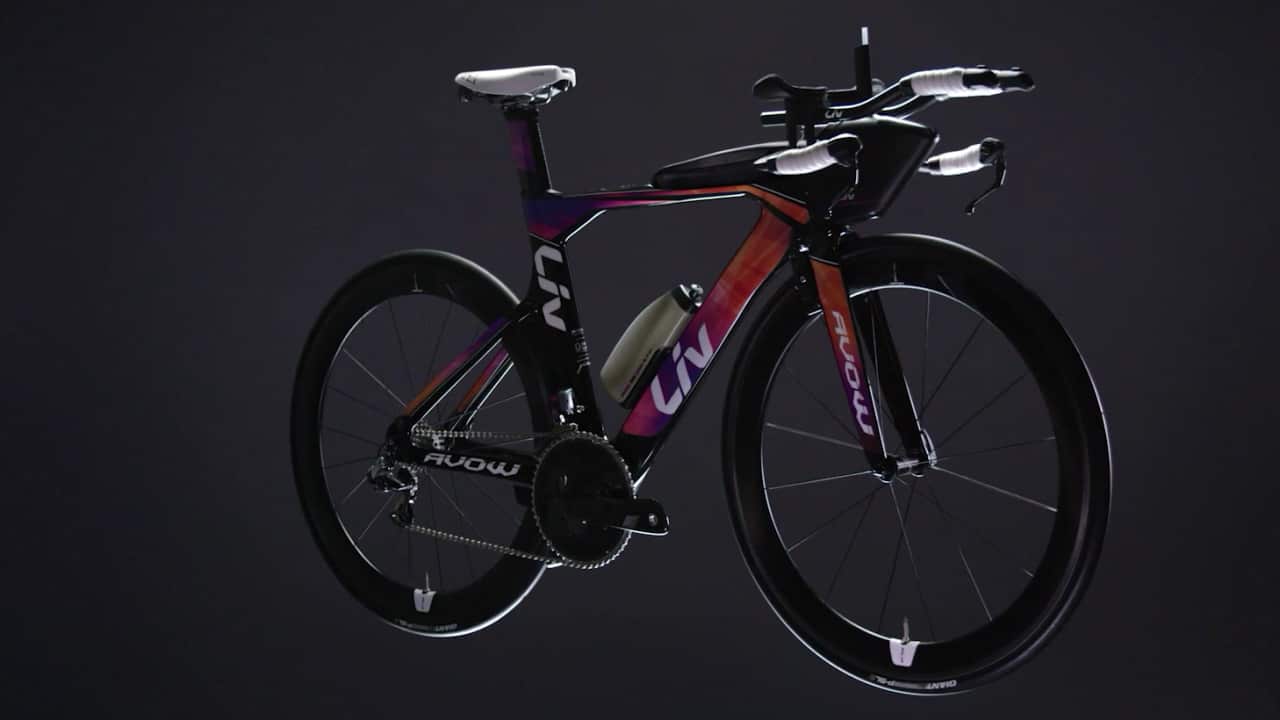 Liv online tt bike